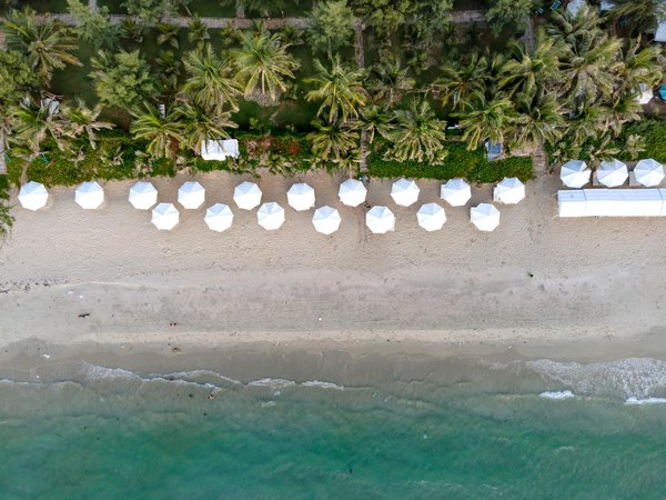 Comment découvrir les traditions culinaires de la Provence, France : circuits gastronomiques et ateliers ?