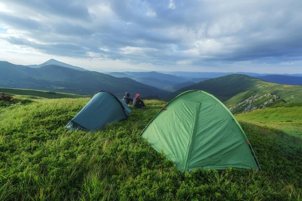 Comment choisir une tente pour un camping en région de forêt de conifères?